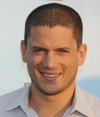 Image of Wentworth Miller